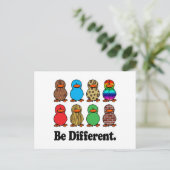 Carte Postale Canards Différents (Debout devant)