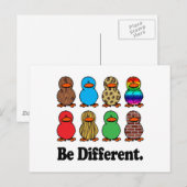Carte Postale Canards Différents (Devant / Derrière)