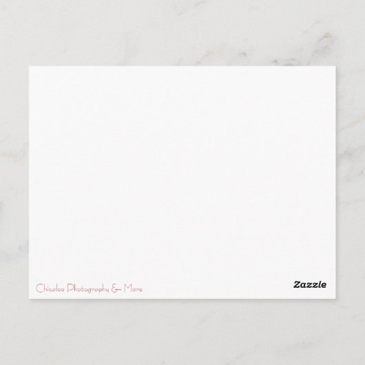 Carte Postale Canards en caoutchouc (Dos)