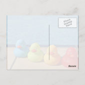 Carte Postale Canards en caoutchouc colorés (Dos)