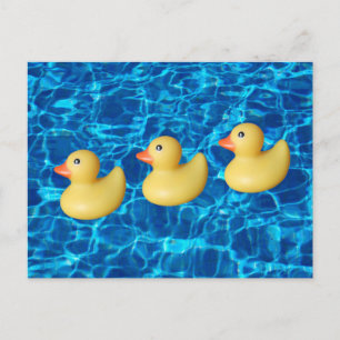 Carte Postale Canards en caoutchouc d'affilée, eau de piscine