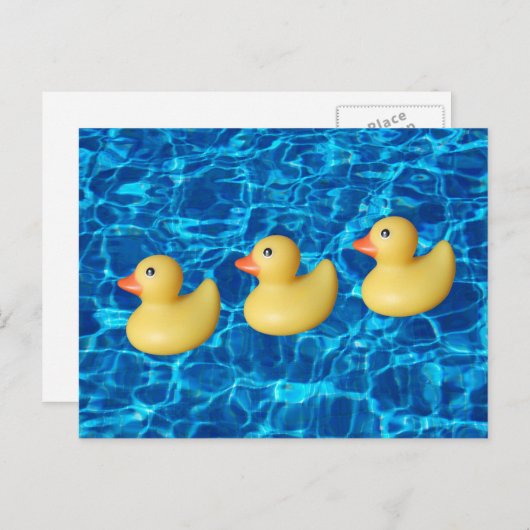 Carte Postale Canards en caoutchouc d'affilée, eau de piscine (Devant / Derrière)