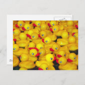 Carte Postale Canards en caoutchouc jaune mignon (Devant / Derrière)