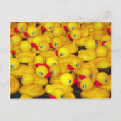 Carte Postale Canards en caoutchouc jaune mignon (Devant)