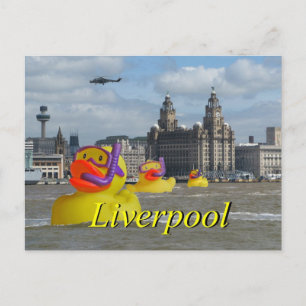 Carte Postale Canards en caoutchouc sur la Mersey