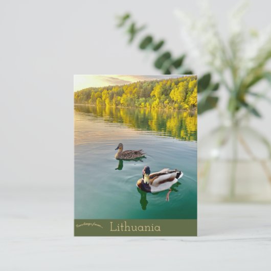 Carte Postale Canards en Vilnius Lituanie (Debout devant)