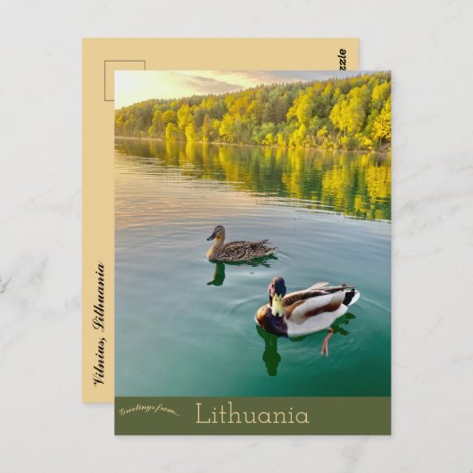 Carte Postale Canards en Vilnius Lituanie (Devant / Derrière)