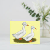 Carte Postale Canards : Graine blanche (Debout devant)
