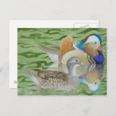 Carte Postale Canards mandarins sur un lac (Devant / Derrière)
