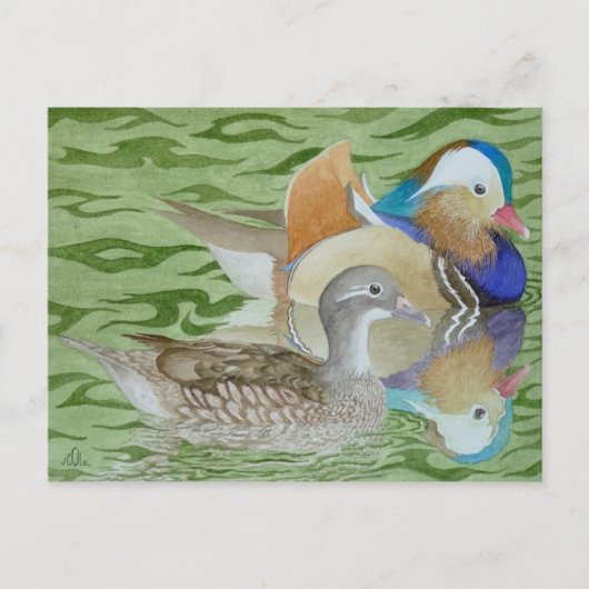 Carte Postale Canards mandarins sur un lac (Devant)