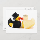 Carte Postale Canards mariages 3 (Devant / Derrière)