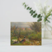 Carte Postale Canards par Carl Jutz (Debout devant)