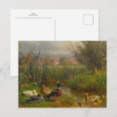 Carte Postale Canards par Carl Jutz (Devant / Derrière)