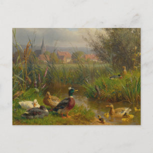 Carte Postale Canards par Carl Jutz