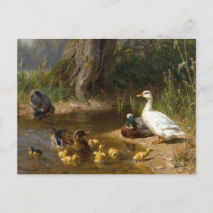 Carte Postale Canards par l'eau par Carl Jutz