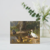 Carte Postale Canards par l'eau par Carl Jutz (Debout devant)
