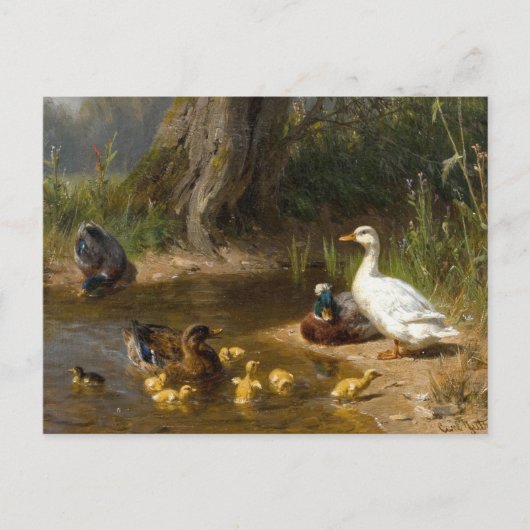 Carte Postale Canards par l'eau par Carl Jutz (Devant)