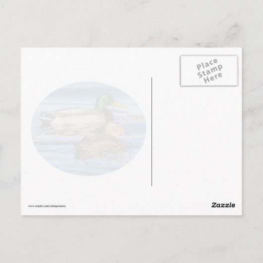 Carte Postale Canards Sur Eau Bleue (Dos)