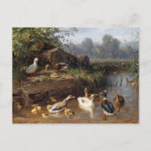 Carte Postale Canards sur la rivière Carl Jutz (Devant)