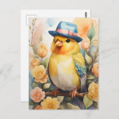 Carte Postale Canari au chapeau Fedora (Devant / Derrière)