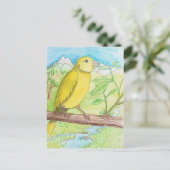 Carte Postale Canari jaune dans le pré (Debout devant)