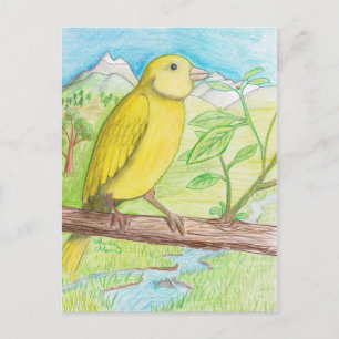 Carte Postale Canari jaune dans le pré