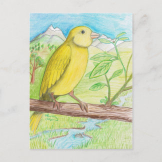 Carte Postale Canari jaune dans le pré