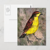 Carte Postale Canary Bird (Devant / Derrière)