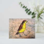 Carte Postale Canary Bird (Debout devant)