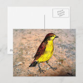 Carte Postale Canary Bird (Devant / Derrière)
