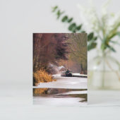 CARTE POSTALE CANAUX (Debout devant)