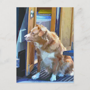 CARTE POSTALE CANAUX