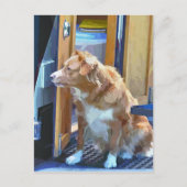 CARTE POSTALE CANAUX (Devant)