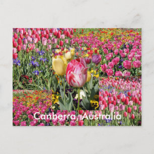 Carte postale Canberra Australie