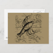 Carte Postale Cancer constellation Hevelius 1690 Engaving (Devant / Derrière)