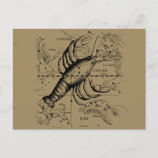 Carte Postale Cancer constellation Hevelius 1690 Engaving (Devant)