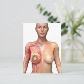 Carte Postale Cancer du sein (Debout devant)