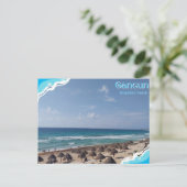 Carte Postale Cancun-Dolphin´s Beach (Debout devant)