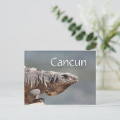 Carte Postale Cancun Mexique Iguana (Debout devant)