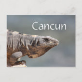 Carte Postale Cancun Mexique Iguana (Devant)