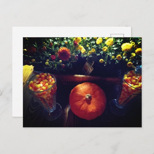 Carte Postale Candy maïs citrouille mums table scape (Devant / Derrière)