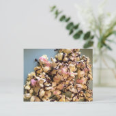 Carte Postale Candy Popcorn (Debout devant)