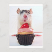 Carte Postale Candy Rat (Devant)