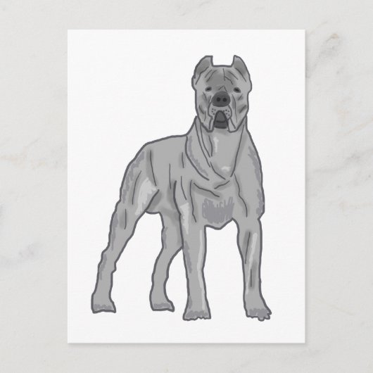 Carte Postale Cane Corso (Devant)