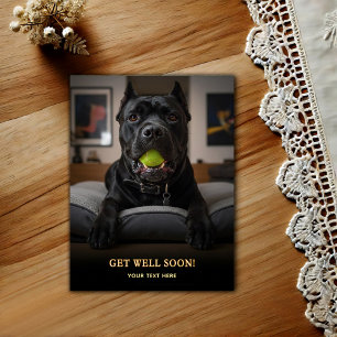 Carte Postale Cane Corso Adorable Bon rétablissement