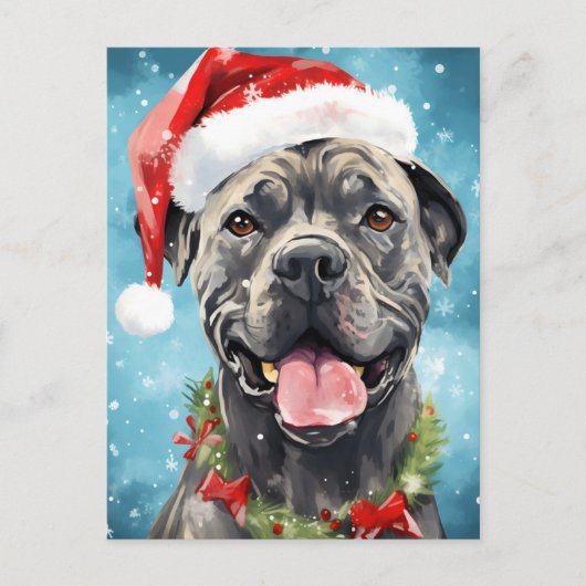 Carte Postale Cane Corso peinture de Noël (Devant)