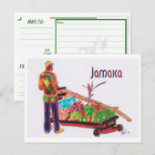 Carte Postale Cane Man Jamaïque (Devant / Derrière)