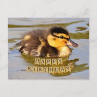 Caneton adorable dans l'étang Joyeux Anniversaire