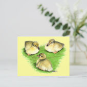 Carte Postale Canetons de canard colvert enneigés (Debout devant)