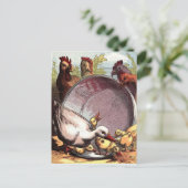 Carte Postale Canettes et poules (Debout devant)